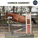 GARRICK HARMONY - 7 ANS - PS