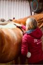 Balneotherapie cheval Deauville