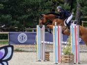  Vend Cheval hongre Selle Français 10 ans CSO