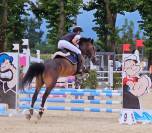 Pony Irlandese (ISH) anno 2010, per salto ostacoli