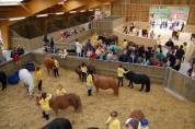 Centre Équestre Poney Club en activité idéalement situé