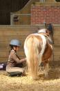 Centre Équestre Poney Club en activité idéalement situé