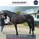 KOUDUSORT - 5 ANS - AQPS