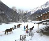 Centre équestre situé dans la vallée de Chamonix