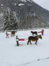 Centre équestre situé dans la vallée de Chamonix