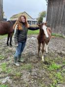 Enseignante indépendante en équitation & travail des ch