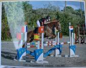 ponette de CSO