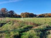 Grange en pierre à rénover sur 5ha en Périgord vert