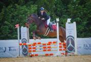 Cavallo da brevetto