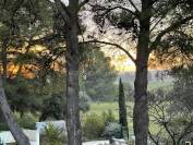 Alpilles - magnifique domaine de 6,5 hectares