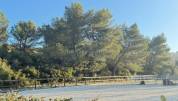 Alpilles - magnifique domaine de 6,5 hectares