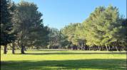 Alpilles - magnifique domaine de 6,5 hectares