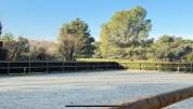 Alpilles - magnifique domaine de 6,5 hectares