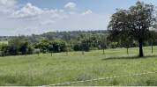 Alpilles - magnifique domaine de 6,5 hectares