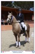 Poney GP dressage à vendre