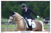 Poney GP dressage à vendre