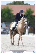 Poney GP dressage à vendre