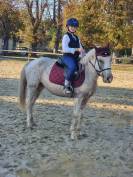 Ponette PFS 6 ans