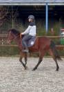 PONEY D - 3 ANS