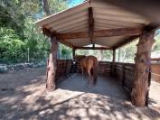 Pension pour chevaux / poneys