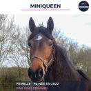 MINIQUEEN - PS - 3 ANS