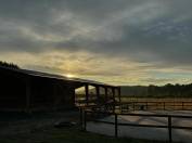 Pension chevaux dans l’Oise 