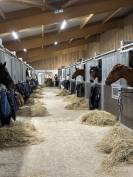 Pension chevaux dans l’Oise 