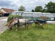 Vends calèche 2 places poney 