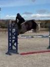 Caballo de salto 6 an̈os
