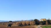 Venta de casa y finca ecuestre