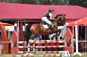 Caballo CDE para compartir