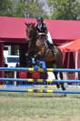 Caballo CDE para compartir