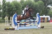 Caballo CDE para compartir
