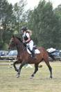 Caballo CDE para compartir