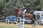 Caballo CDE para compartir