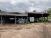 Terrain de 4,4 ha avec bâtiments agricoles de 3400 m² - Dompie