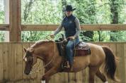 Jument Quarter Horse Reining / Ranch Riding