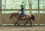 Jument Quarter Horse Reining / Ranch Riding