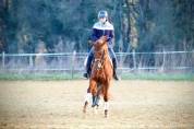 Cours d’équitation et demi pensions à 15mn de Poitiers 