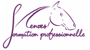 Formation professionnelle : Animateur d'équitation