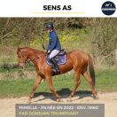 SENS AS - PS - 3 ANS