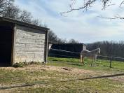 Parc naturel du Quercy