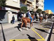 CABALLO SEMENTAL EN VENTA