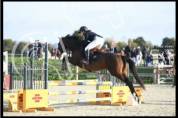 Hongre 8 ans pour Cso et loisir 