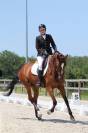 Jument - 8 ans - For Romance II/ Houston - Dressage 