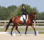 Jument - 8 ans - For Romance II/ Houston - Dressage 