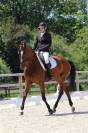 Jument - 8 ans - For Romance II/ Houston - Dressage 