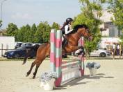 Pony salto ostacoli 
