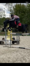 Poney de sport 