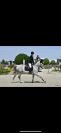 Poulinière SBS de 7 ans (Greco sitte x ugano sitte )